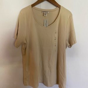Rebecca Malone v-neck short sleeve tee. Pebble color. 1X